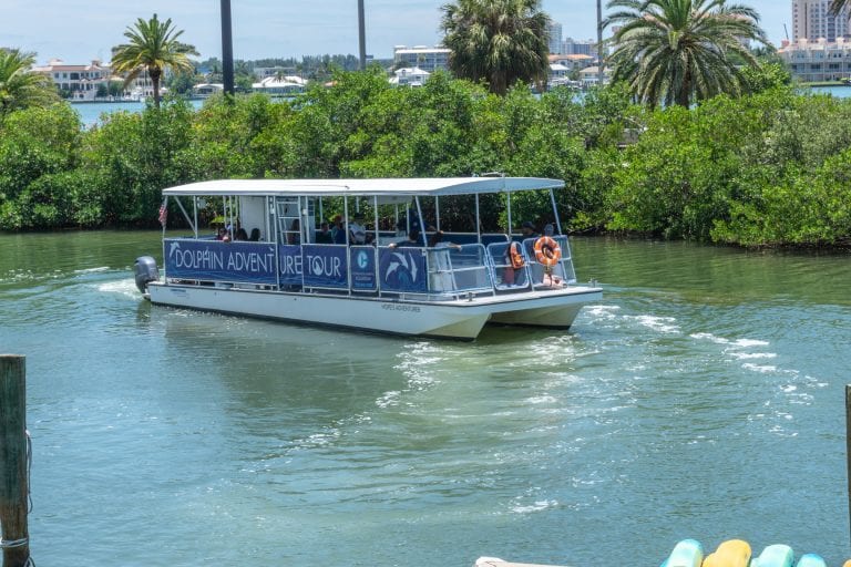 Dolphin and Wildlife Cruise