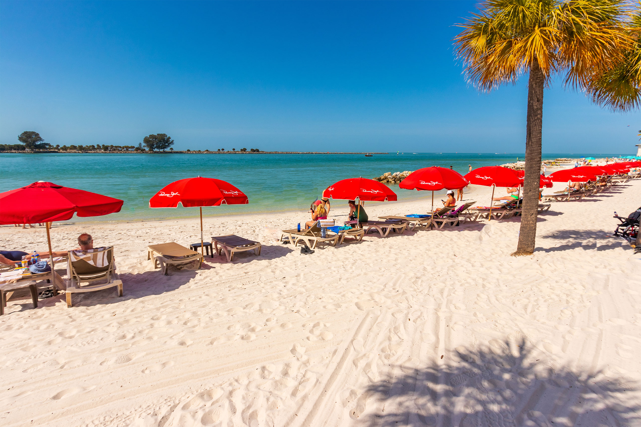 Winters Beach Club Webcam - Clearwater Marine Aquarium