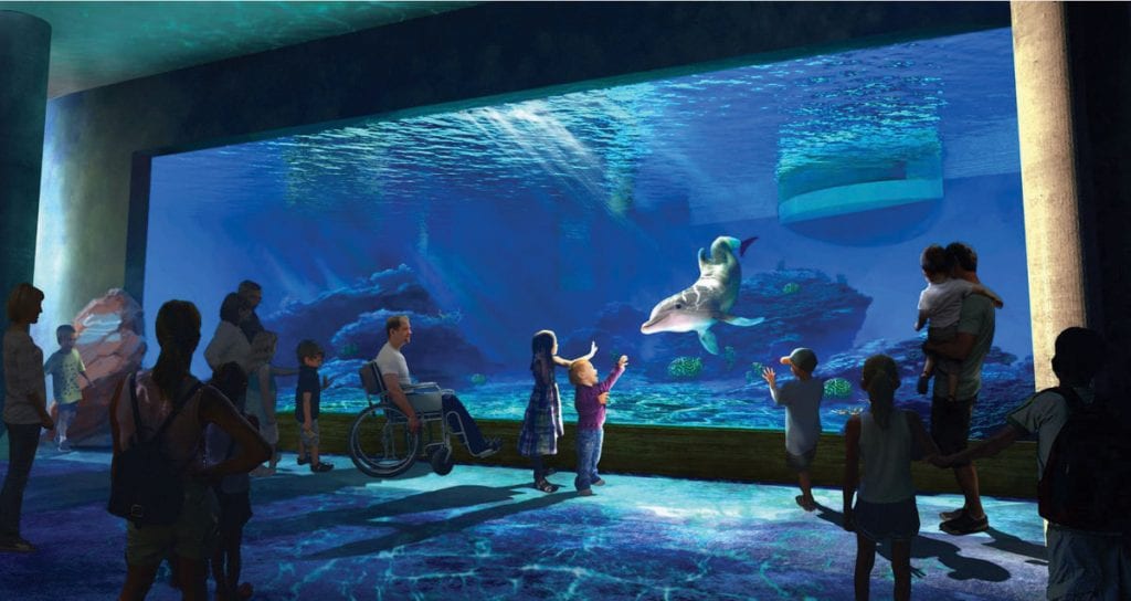 Rendering of new dolphin window