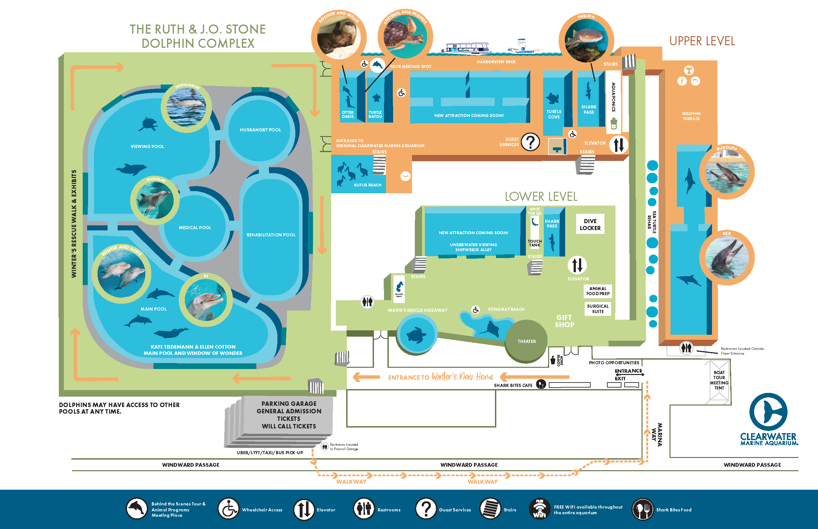 Turtle Bayou Clearwater Marine Aquarium