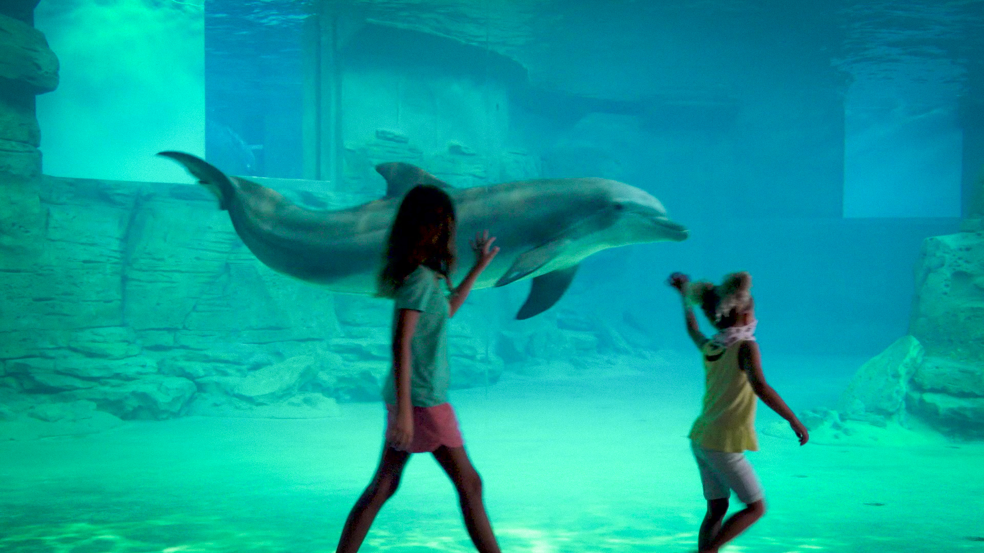 Discount Clearwater Marine Aquarium