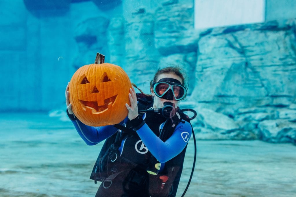 Diver with carved pumpkin