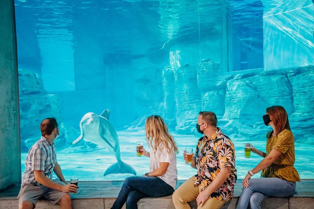 Group sitting with Dolphin