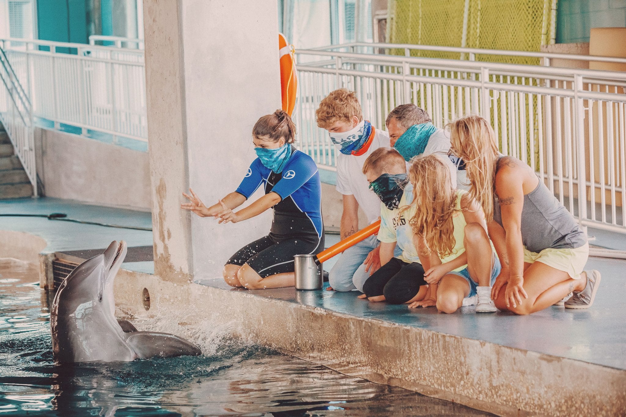 PJ the Dolphin Clearwater Marine Aquarium