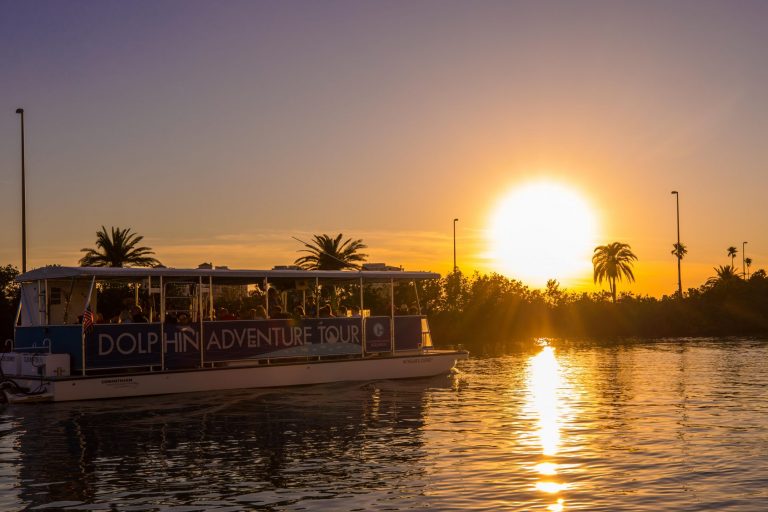 Boat Rides & Guided Tours Clearwater Marine Aquarium