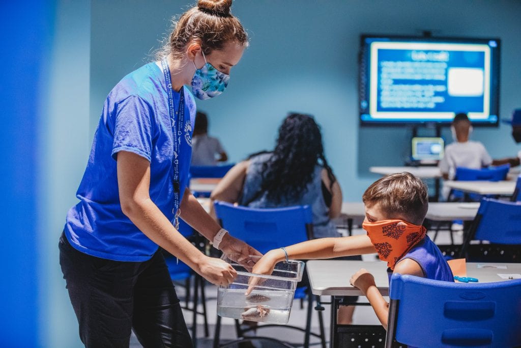 boy touch tank education