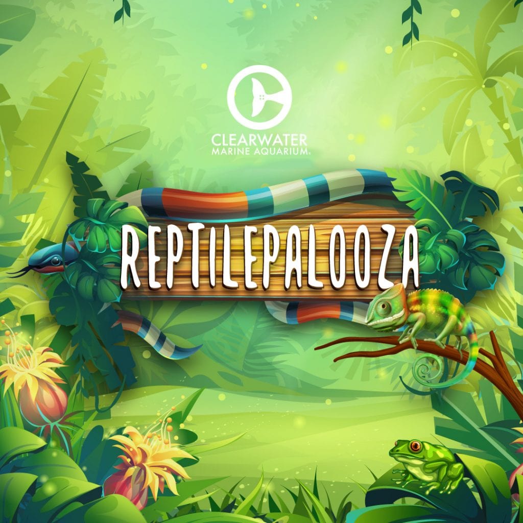 Reptilepalooza