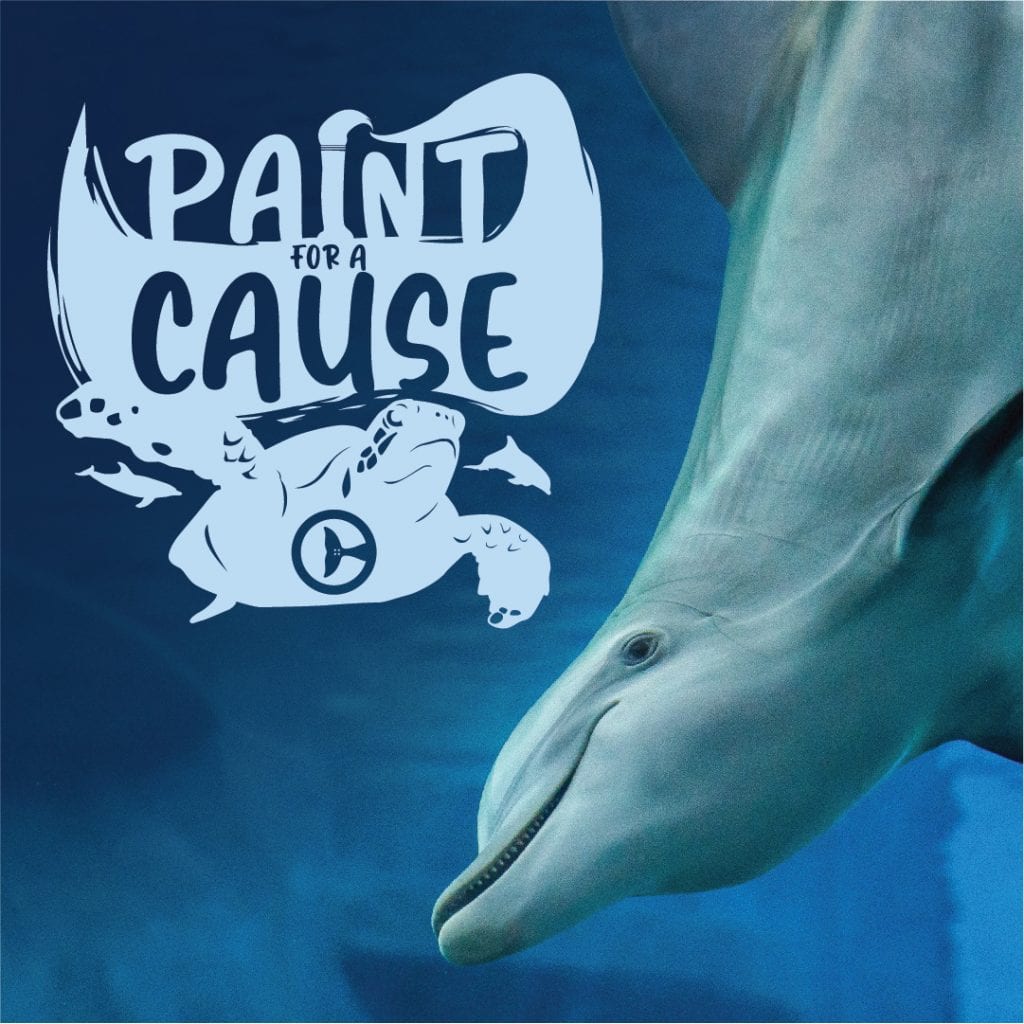 Paint for a cause