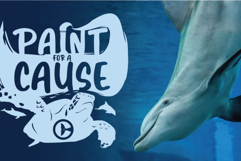 paint for a cause