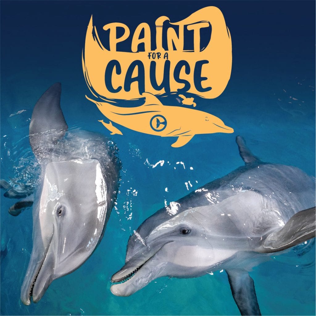 Paint for a Cause