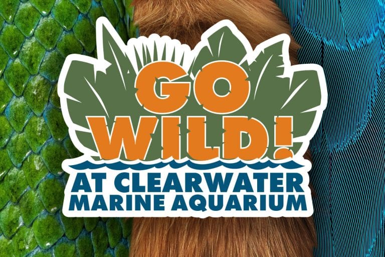 Go Wild