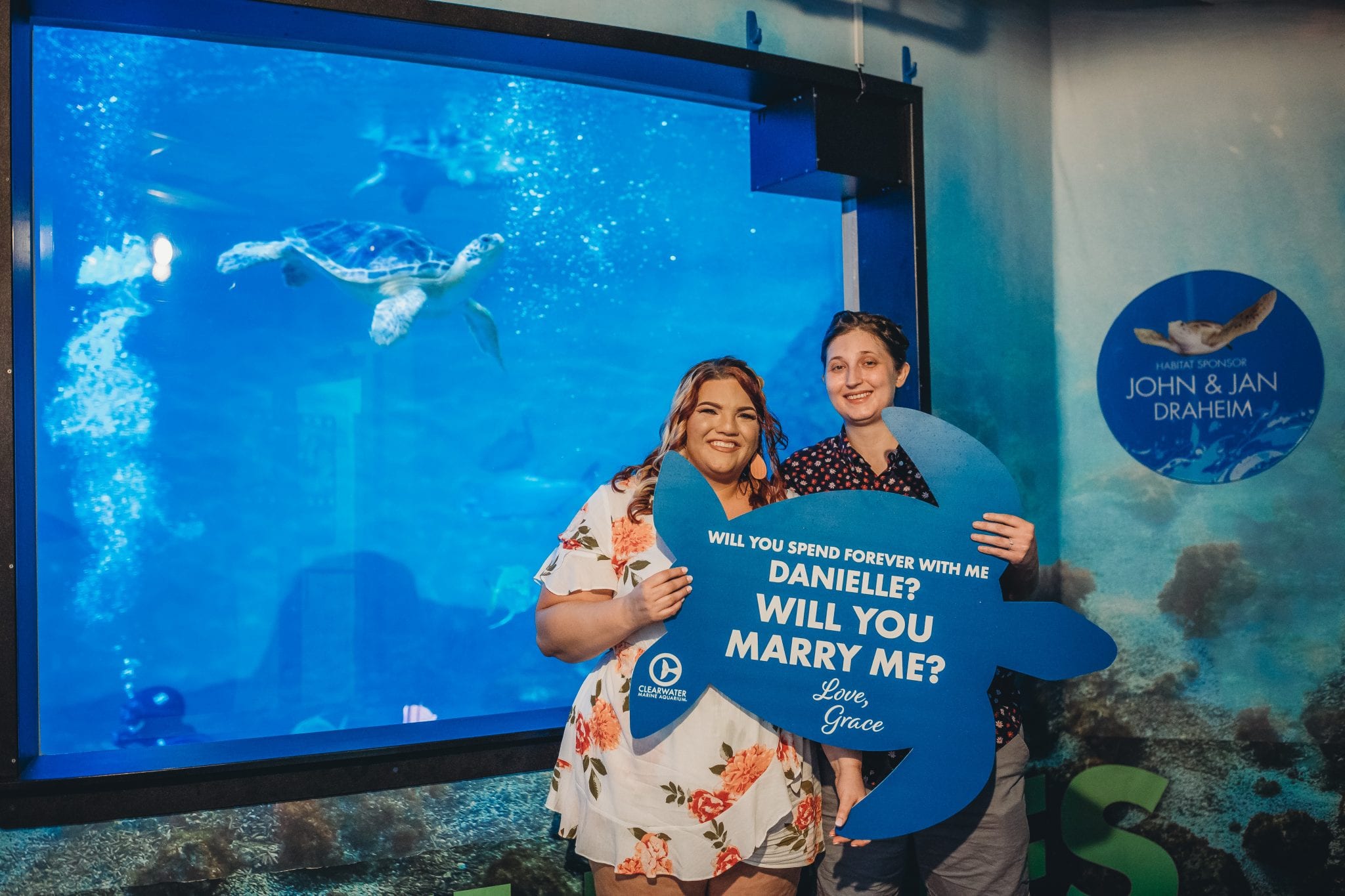 Clearwater marine aquarium jobs multiplora