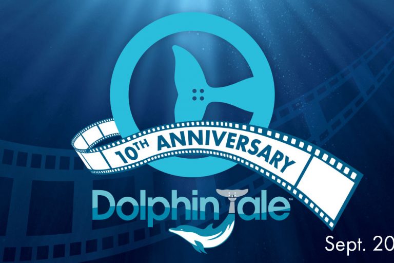 Dolphin Tale Anniversary