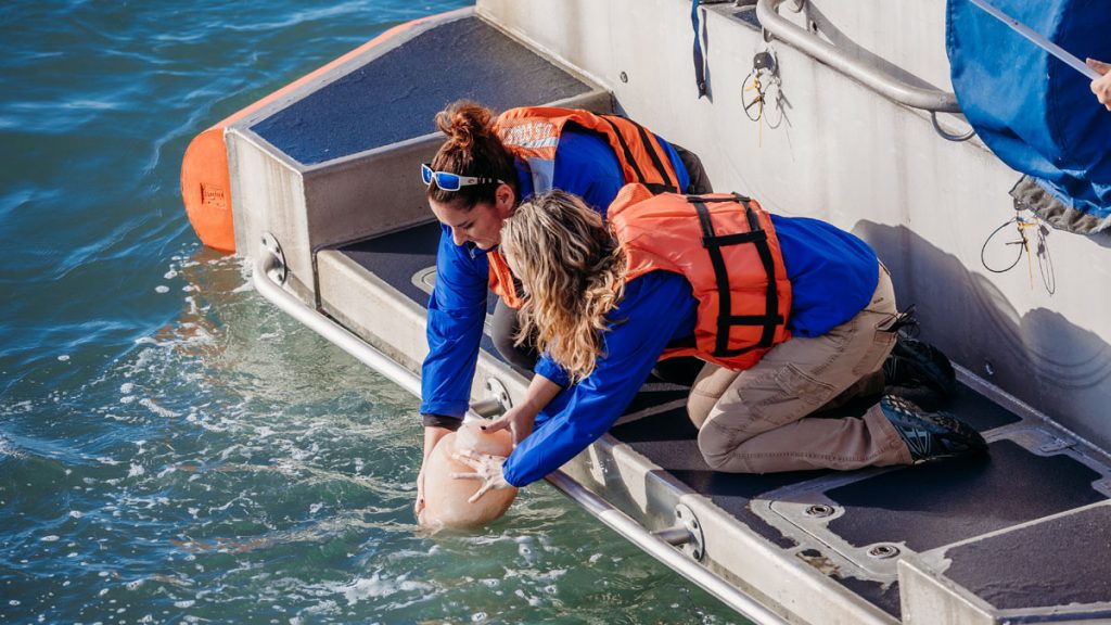 releasing Winter's ashes to sea