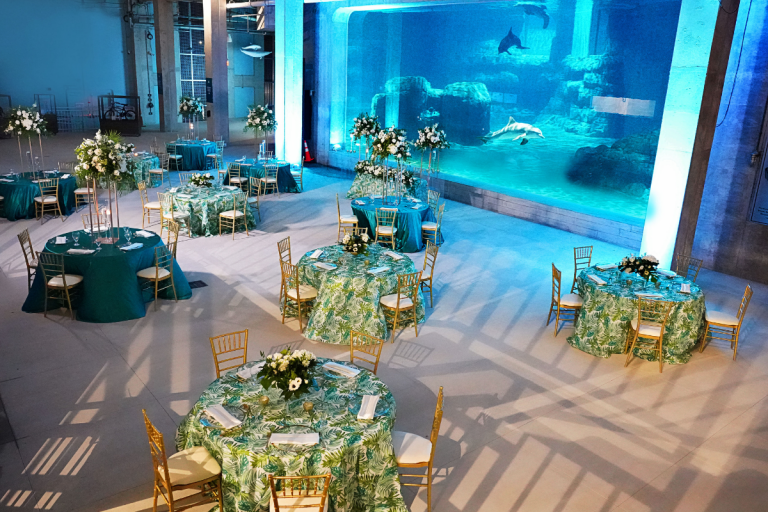 Event Space Clearwater Marine Aquarium