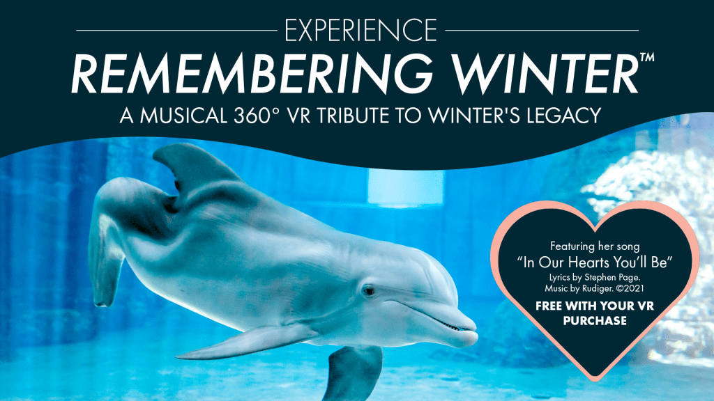 Winter VR Experience
