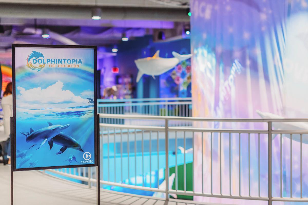 Dolphintopia Clearwater Marine Aquarium