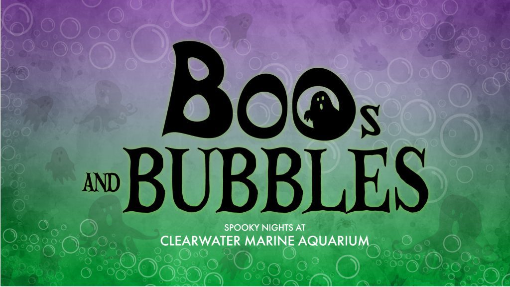 Boos & Bubbles