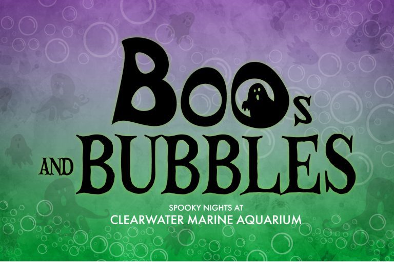 Boos & Bubbles