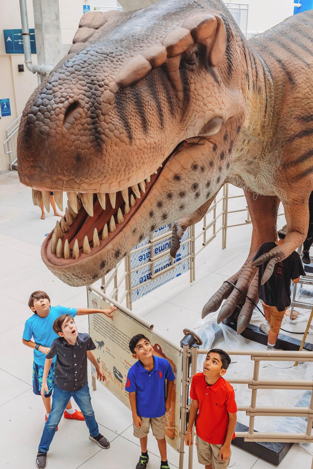 Clearwater Marine Aquarium Florida's Marine Life Rescue Center