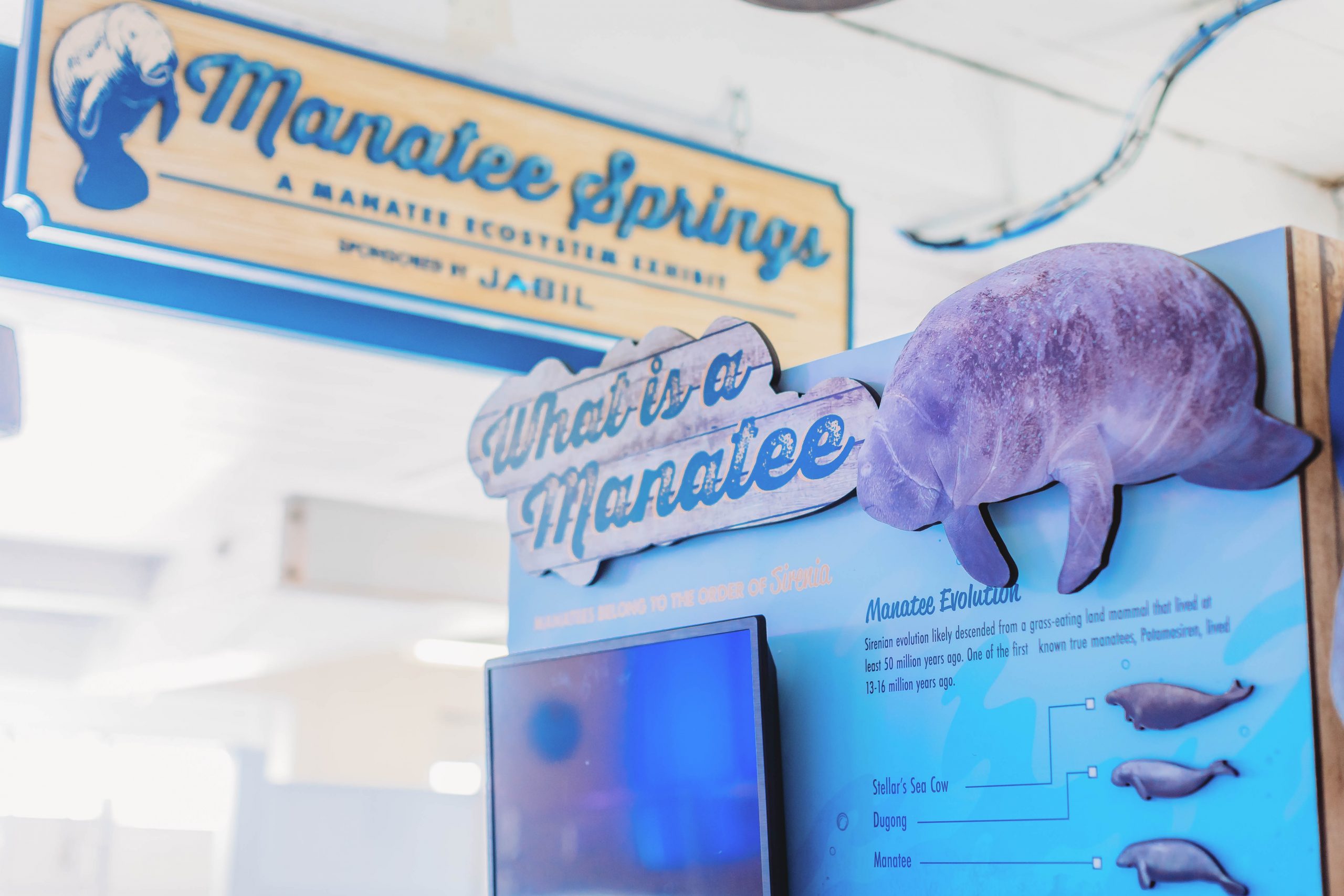 Manatee Fish Camp Map