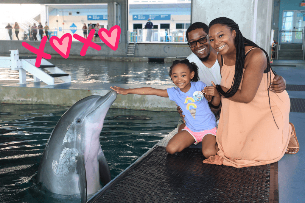 Clearwater Marine Aquarium - All You Need to Know BEFORE You Go