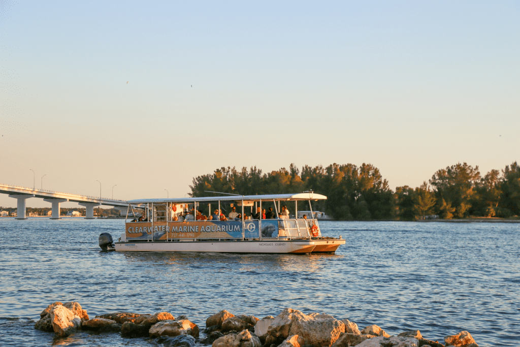 Tropical Sunset Cruise - Clearwater Marine Aquarium