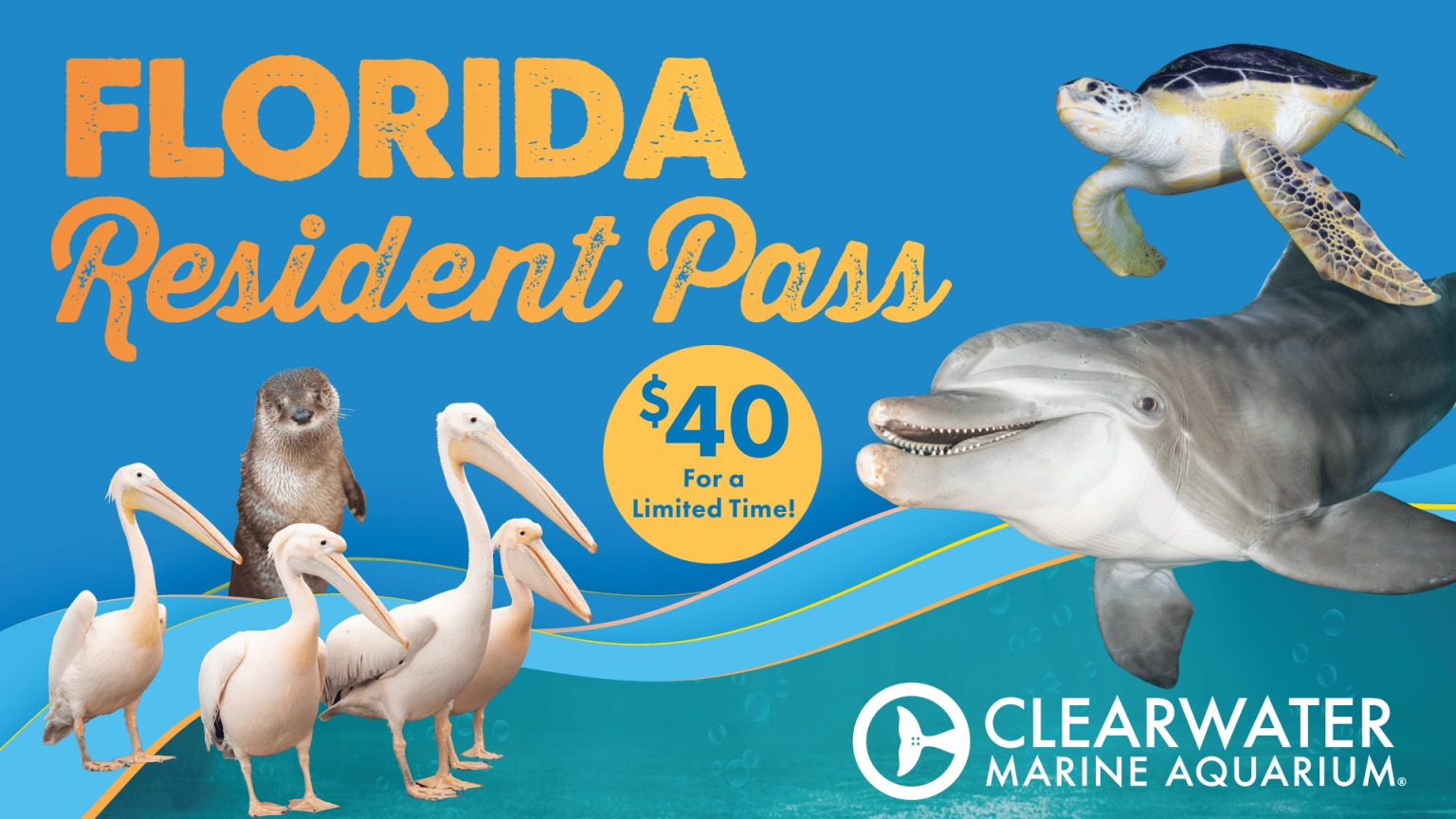 Tickets and Admission Clearwater Marine Aquarium