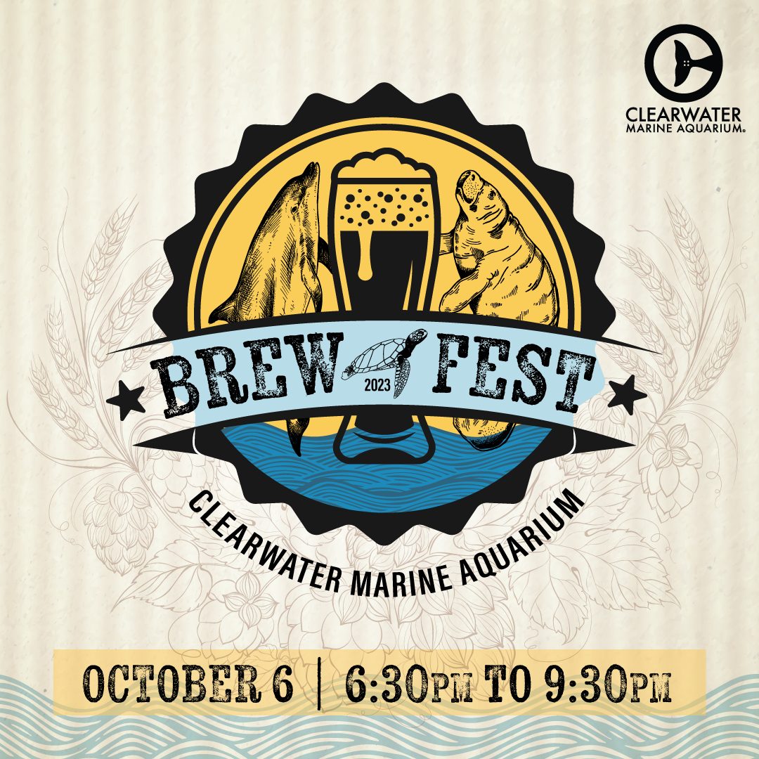 Brew Fest