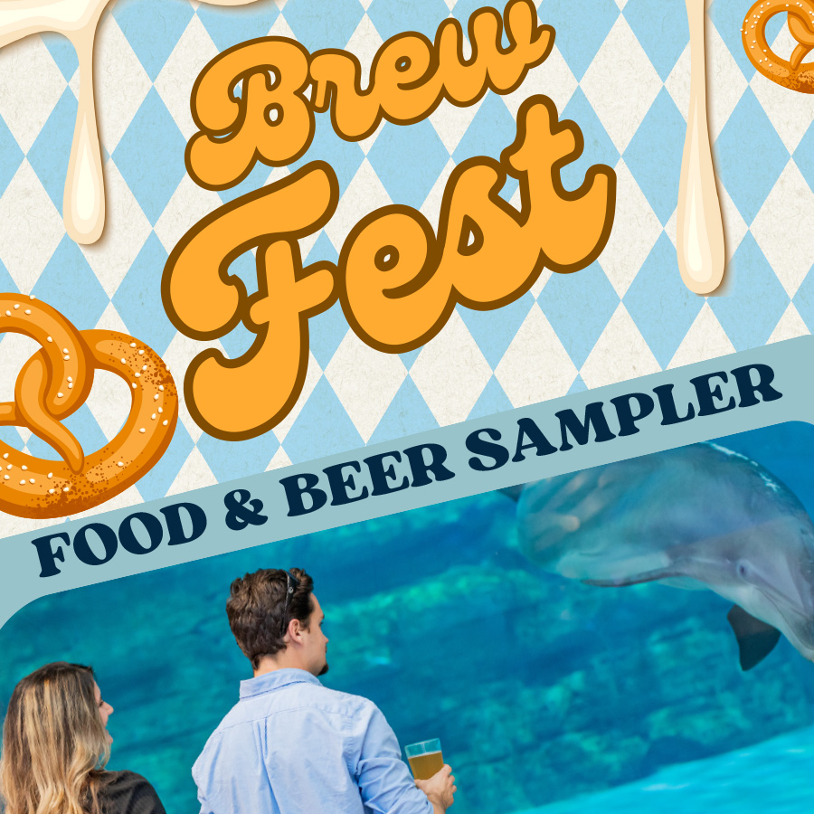 Brew Fest Sampler