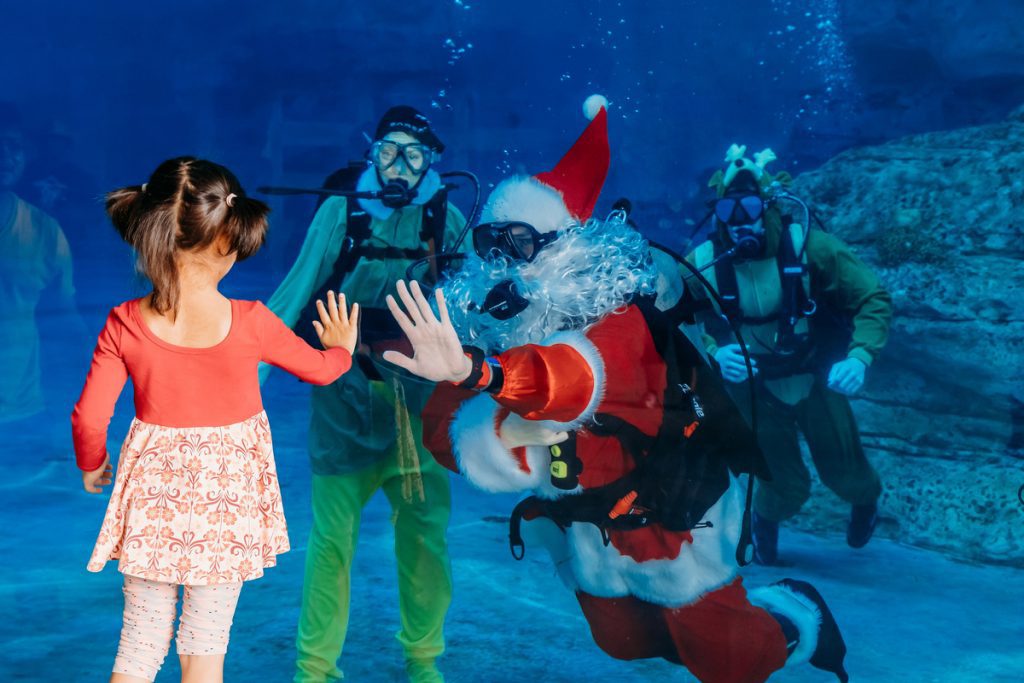 scuba santa