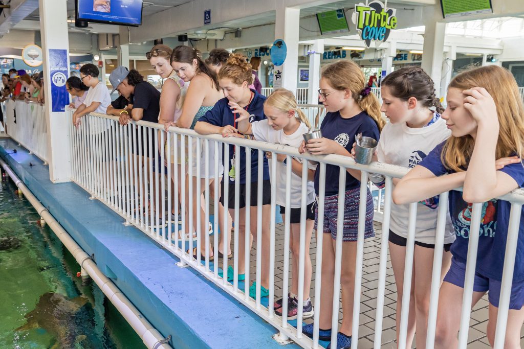 Marine Science Family MiniCamps Clearwater Marine Aquarium