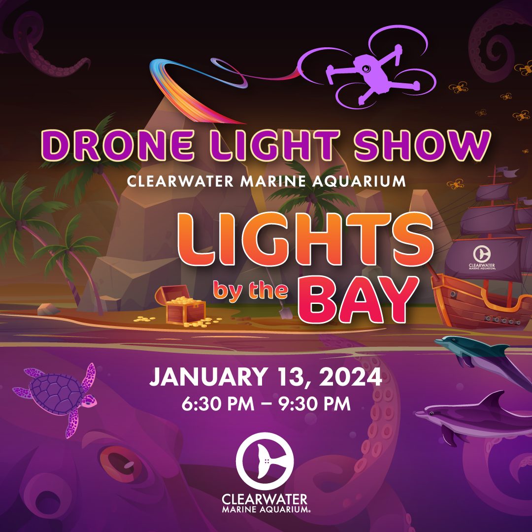 Drone Light Show - Clearwater Marine Aquarium