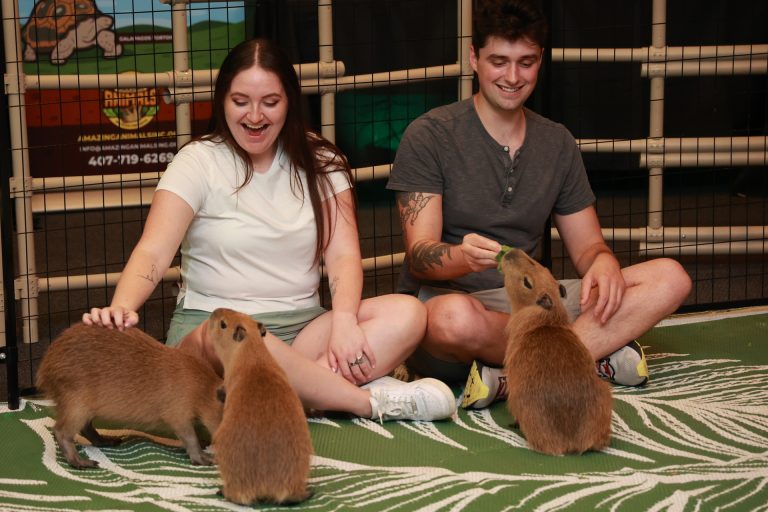 capybara program