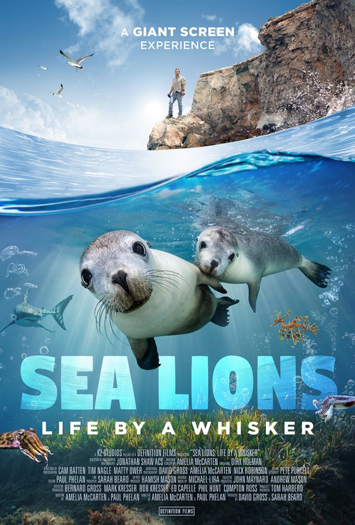 Sea Lions movie