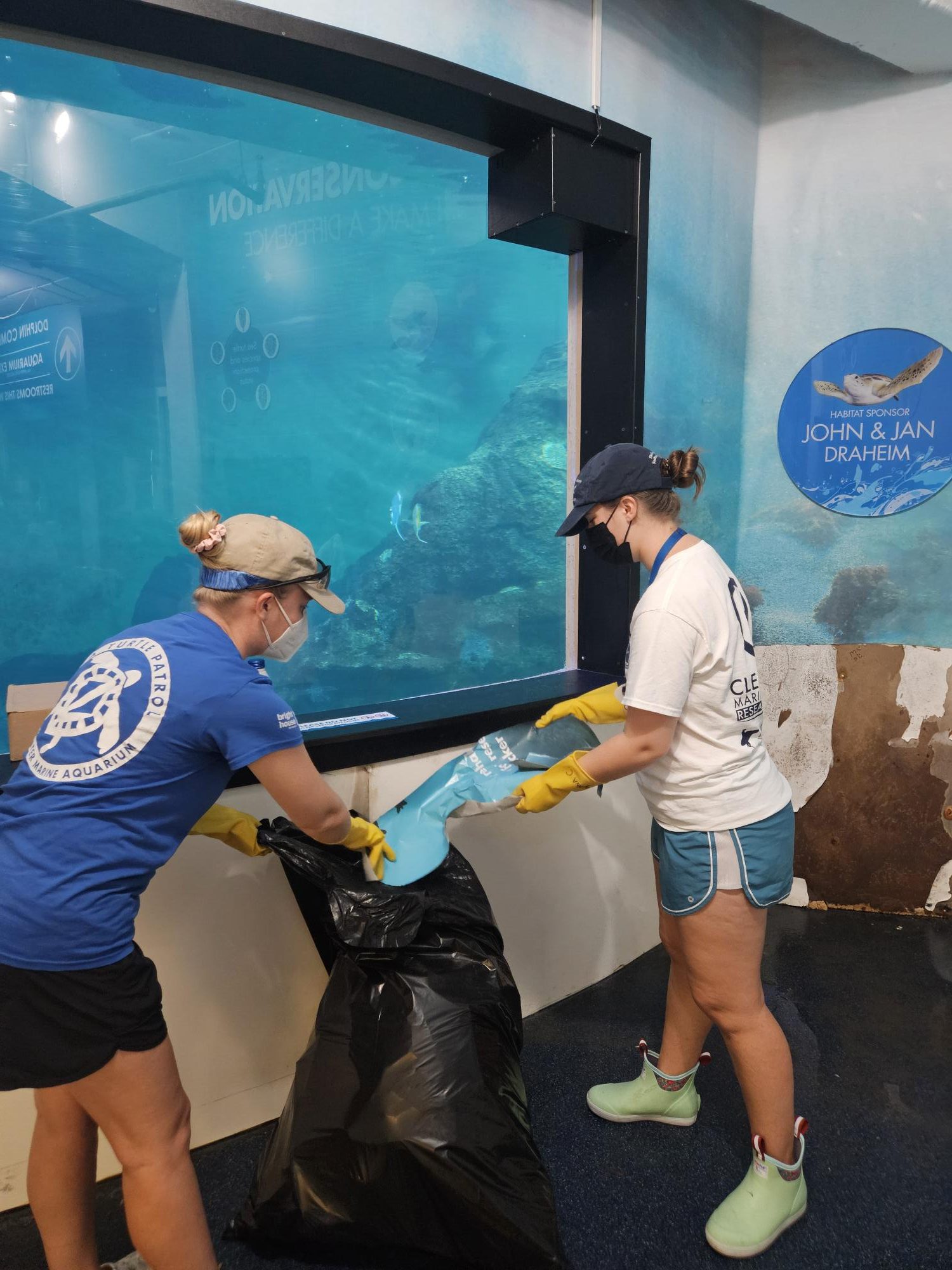 Hurricane Updates - Clearwater Marine Aquarium