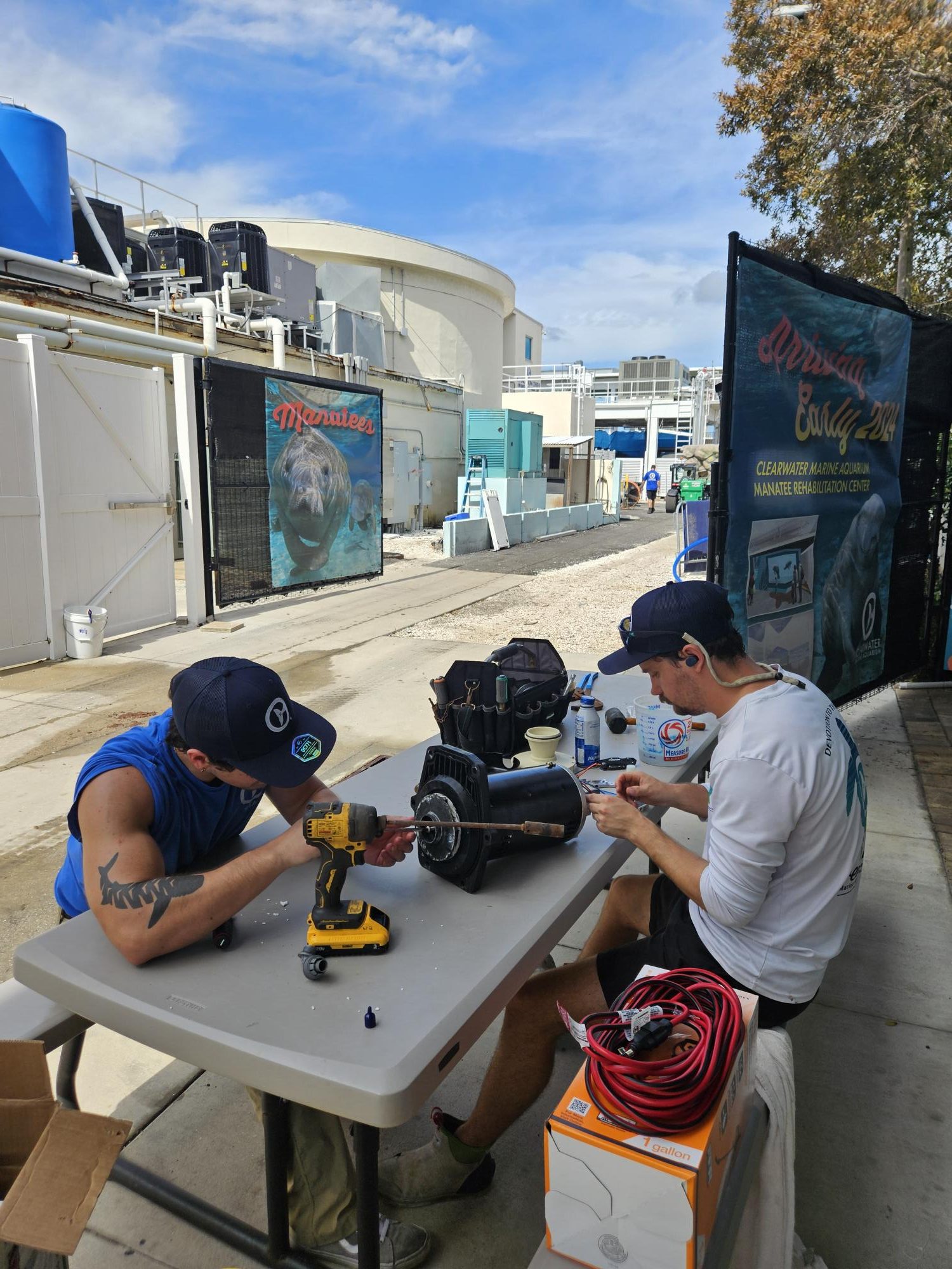 Hurricane Updates - Clearwater Marine Aquarium