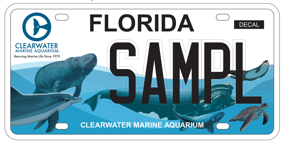 CMA License Plate Clearwater Marine Aquarium