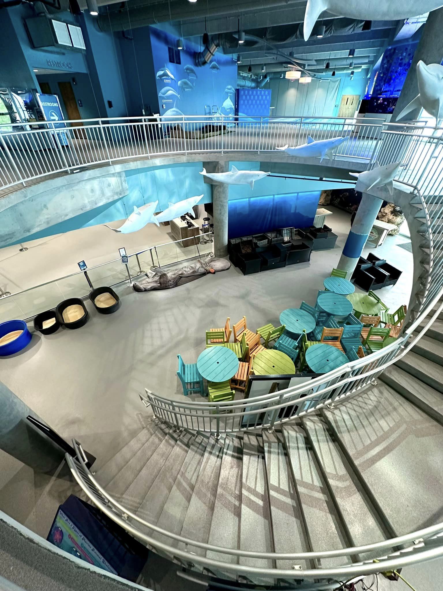 Hurricane Updates - Clearwater Marine Aquarium