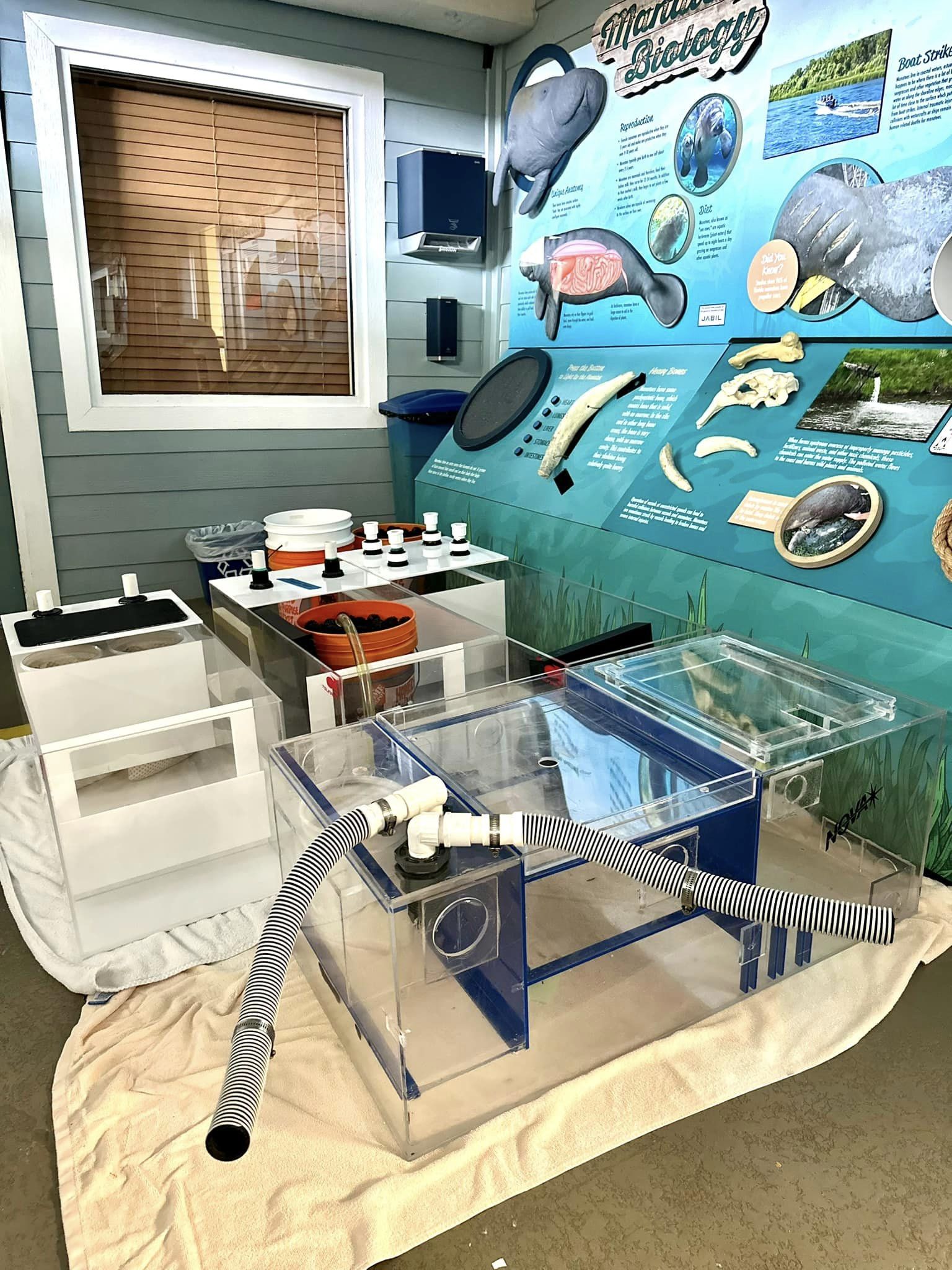 Hurricane Updates - Clearwater Marine Aquarium