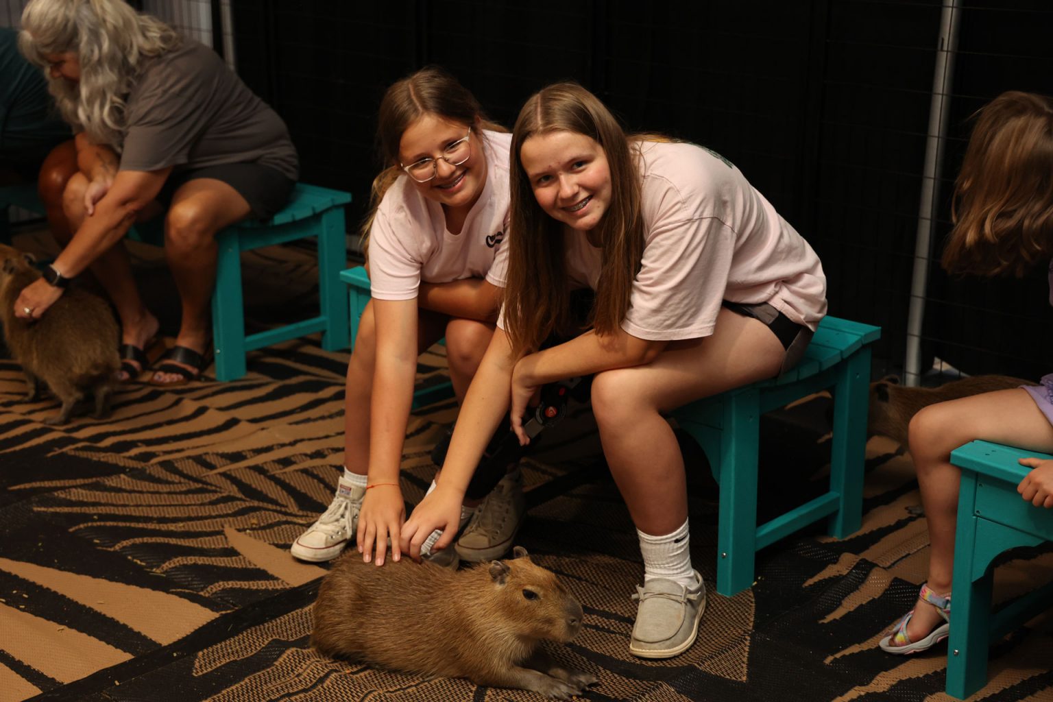 Capybara Experiences - Clearwater Marine Aquarium