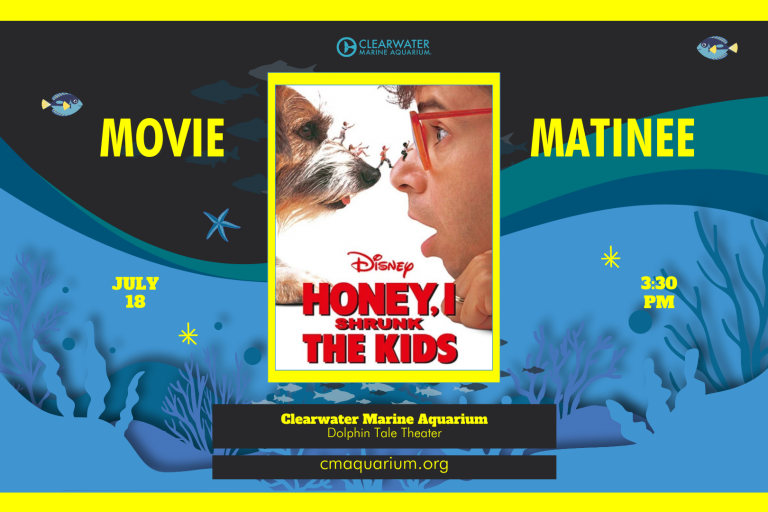Movie at CMA