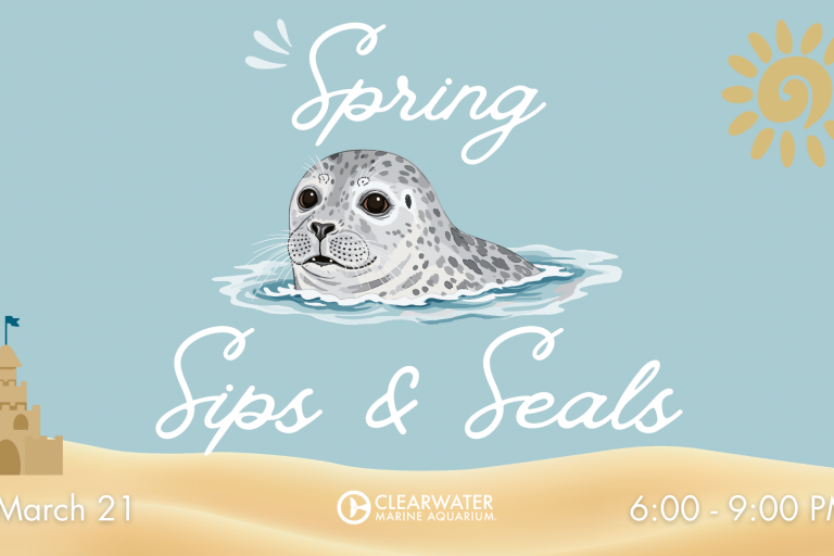 Spring Sips & Seals