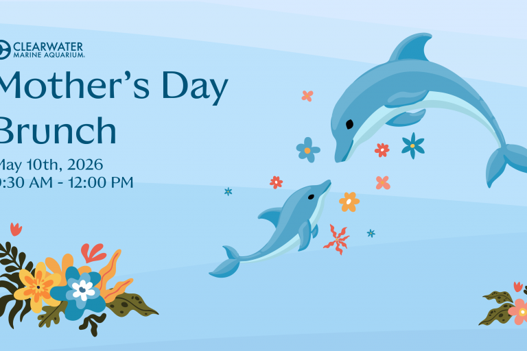 Mother's Day