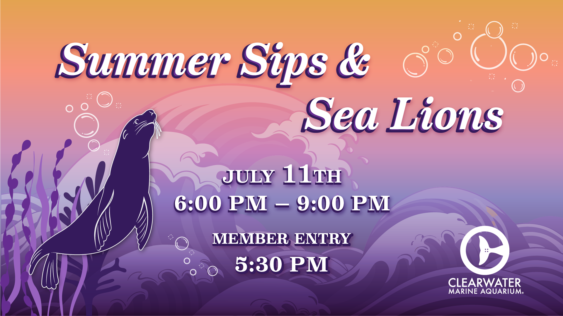 Sips & Sea Lions