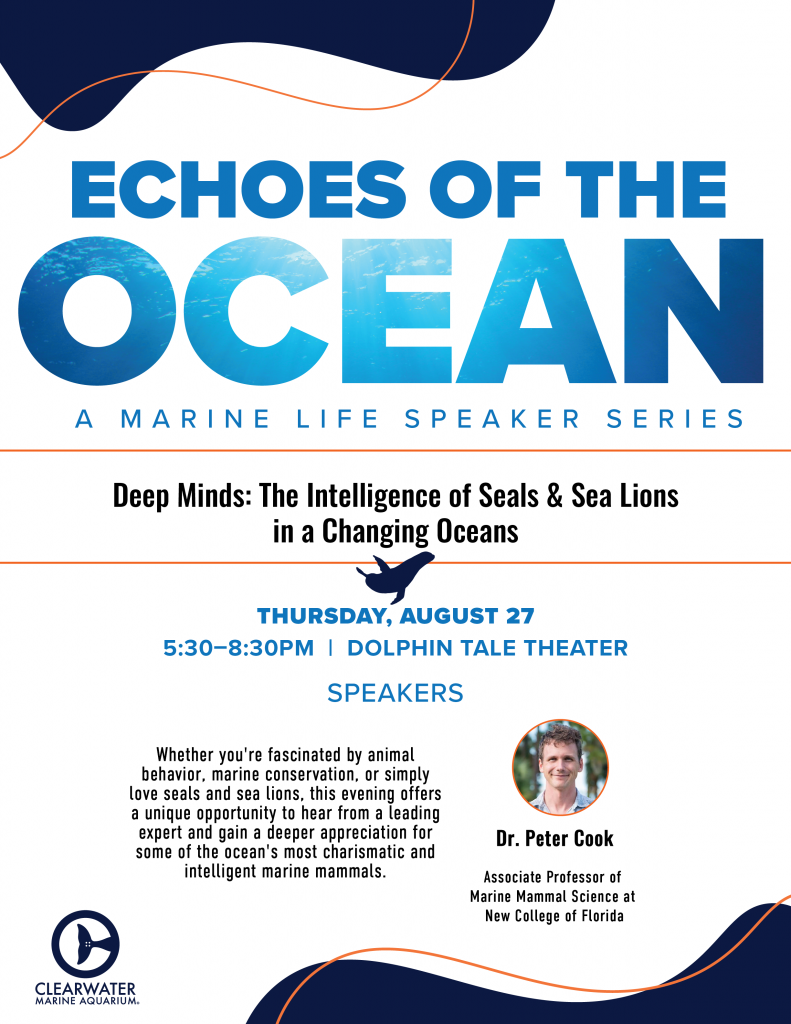 Echoes of the Ocean