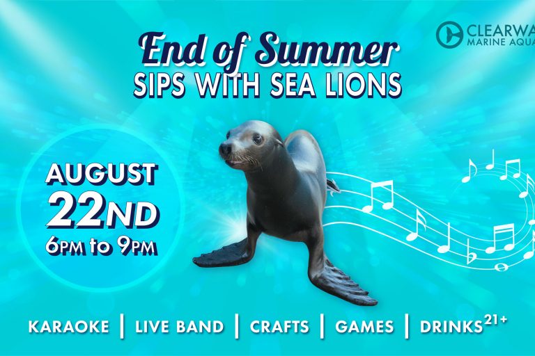 End of Summer Sips Event
