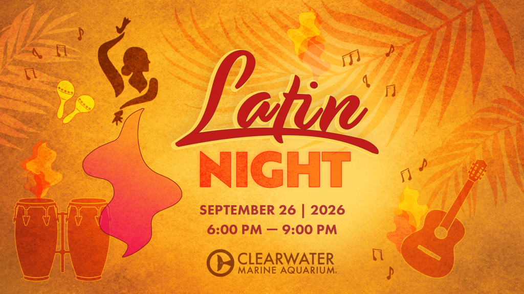 Latin Night
