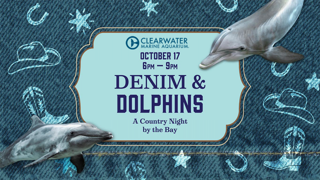 Denim and Dolphins
