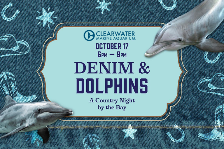 Denim and Dolphins